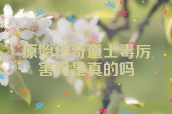 原始传奇道士毒厉害吗是真的吗