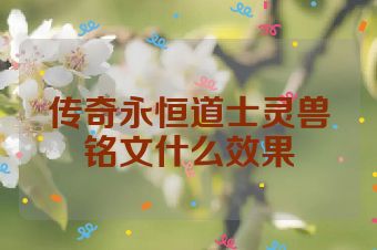 传奇永恒道士灵兽铭文什么效果