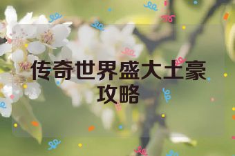 传奇世界盛大土豪攻略