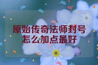 原始传奇法师封号怎么加点最好