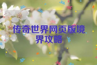 传奇世界网页版境界攻略