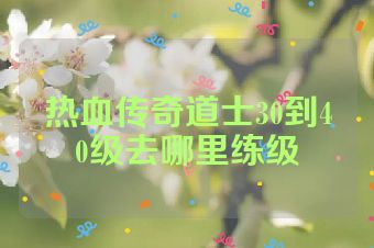 热血传奇道士30到40级去哪里练级