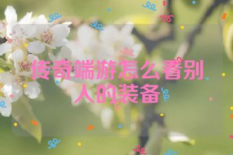 传奇端游怎么看别人的装备