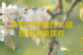 传奇世界按什么键查看骷髅属性