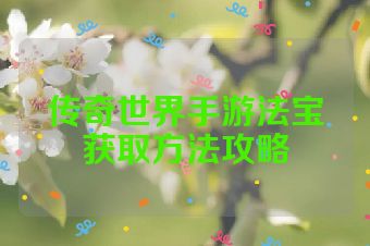 传奇世界手游法宝获取方法攻略