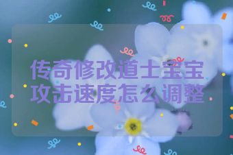 传奇修改道士宝宝攻击速度怎么调整