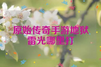 原始传奇手游地狱雷光哪里打