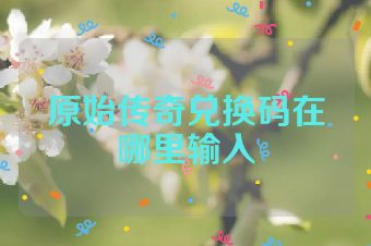 原始传奇兑换码在哪里输入