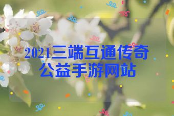 2021三端互通传奇公益手游网站