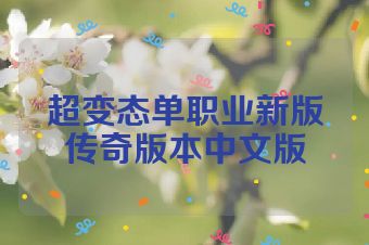 超变态单职业新版传奇版本中文版