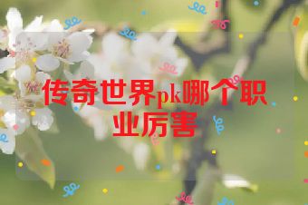 传奇世界pk哪个职业厉害
