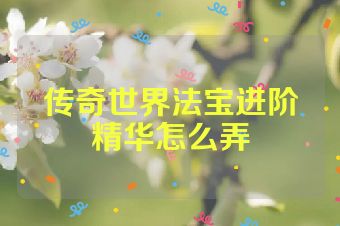 传奇世界法宝进阶精华怎么弄