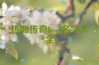 热血传奇boss名字大全