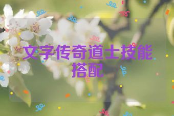 文字传奇道士技能搭配