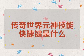 传奇世界元神技能快捷键是什么