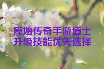 原始传奇手游道士升级技能优先选择