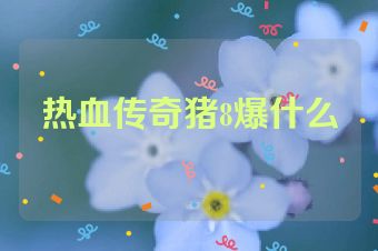 热血传奇猪8爆什么