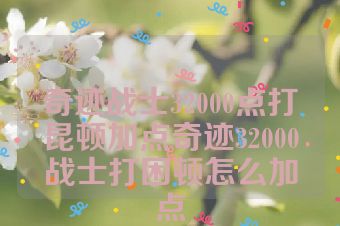 奇迹战士32000点打昆顿加点奇迹32000战士打困顿怎么加点