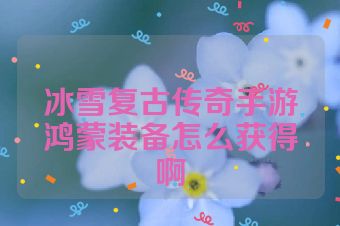 冰雪复古传奇手游鸿蒙装备怎么获得啊