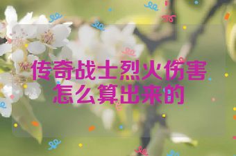 传奇战士烈火伤害怎么算出来的