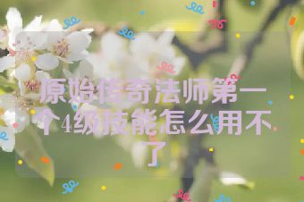 原始传奇法师第一个4级技能怎么用不了