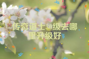 传奇道士30级去哪里升级好