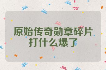 原始传奇勋章碎片打什么爆了