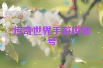 传奇世界手游内部号