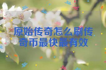原始传奇怎么刷传奇币最快最有效
