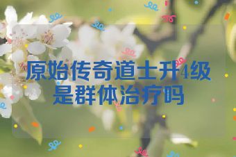 原始传奇道士升4级是群体治疗吗