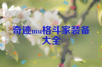 奇迹mu格斗家装备大全