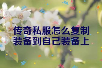 传奇私服怎么复制装备到自己装备上