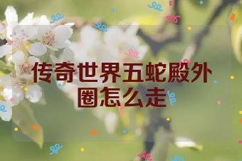 传奇世界五蛇殿外圈怎么走