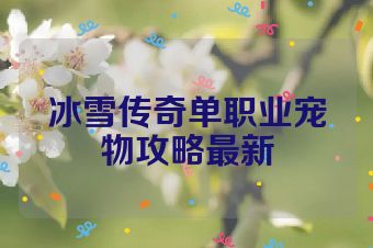 冰雪传奇单职业宠物攻略最新