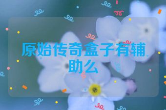 原始传奇盒子有辅助么