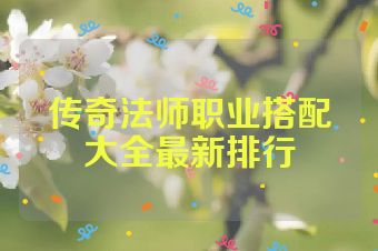 传奇法师职业搭配大全最新排行