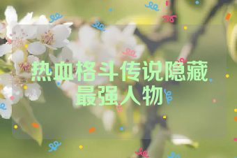 热血格斗传说隐藏最强人物