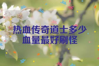 热血传奇道士多少血量最好刷怪