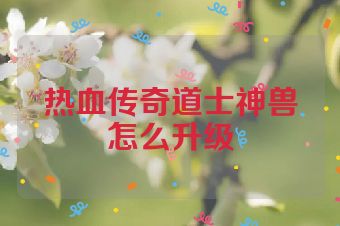 热血传奇道士神兽怎么升级