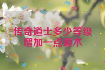 传奇道士多少等级增加一点道术