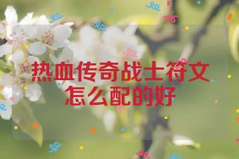 热血传奇战士符文怎么配的好