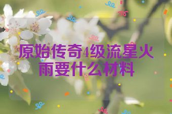 原始传奇4级流星火雨要什么材料