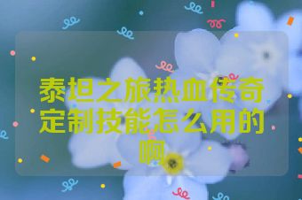 泰坦之旅热血传奇定制技能怎么用的啊