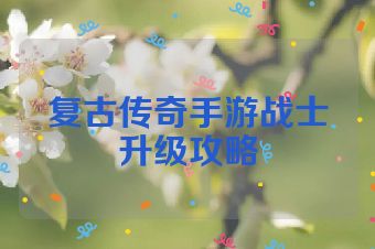 复古传奇手游战士升级攻略