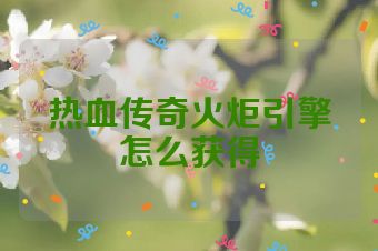 热血传奇火炬引擎怎么获得
