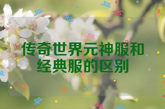 传奇世界元神服和经典服的区别