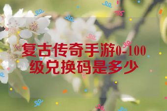 复古传奇手游0-100级兑换码是多少