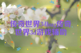 传奇世界3dbug传奇世界3d游戏辅助