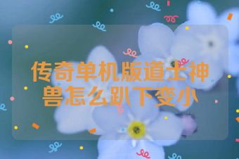 传奇单机版道士神兽怎么趴下变小
