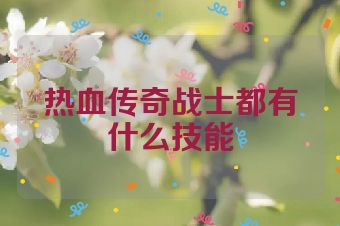 热血传奇战士都有什么技能